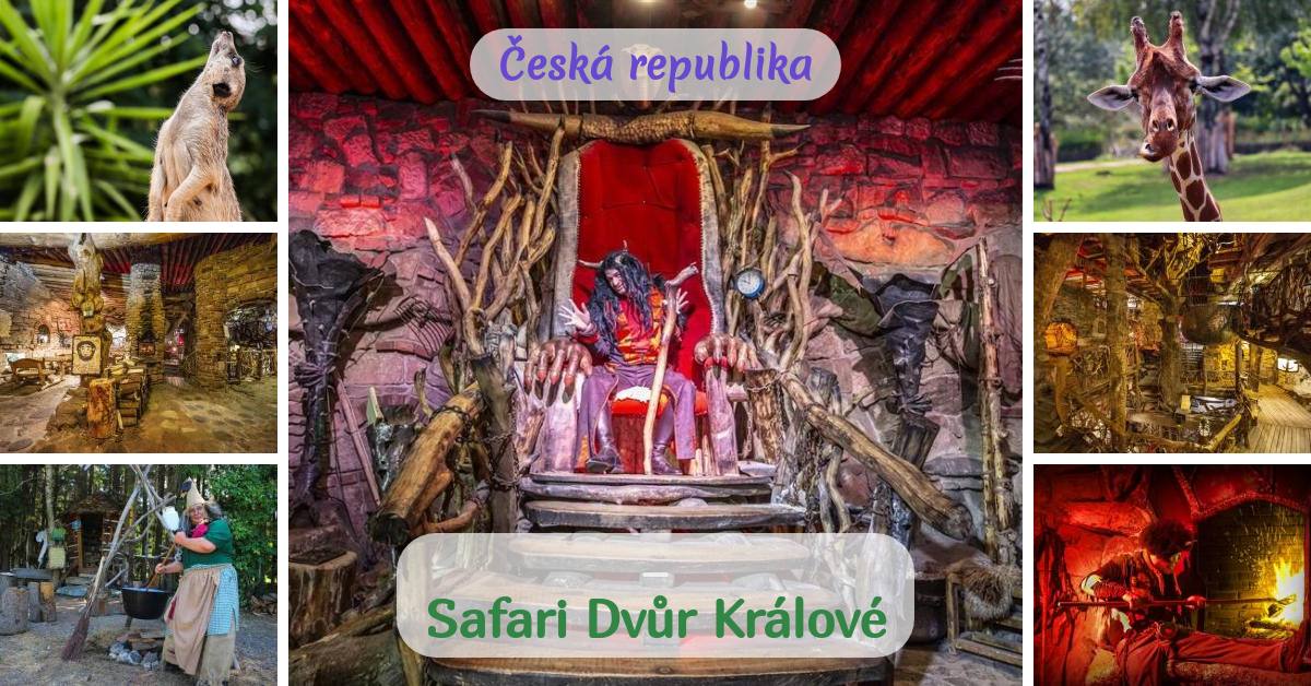 vecerni safari dvur kralove